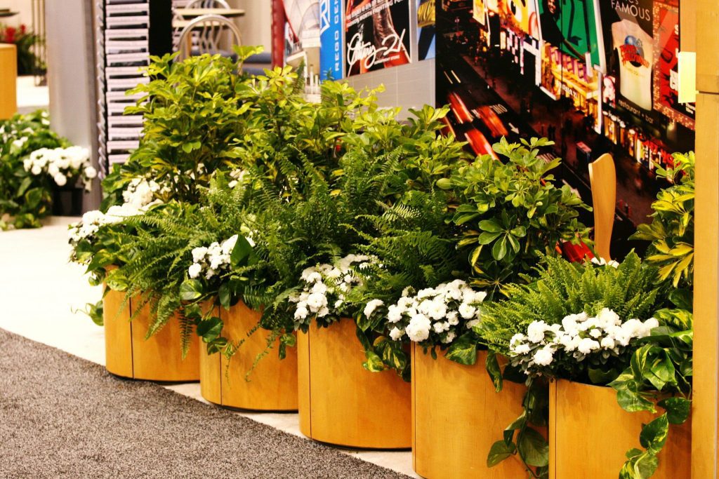 Live plants lined up at a trade show booth in Las Vegas.