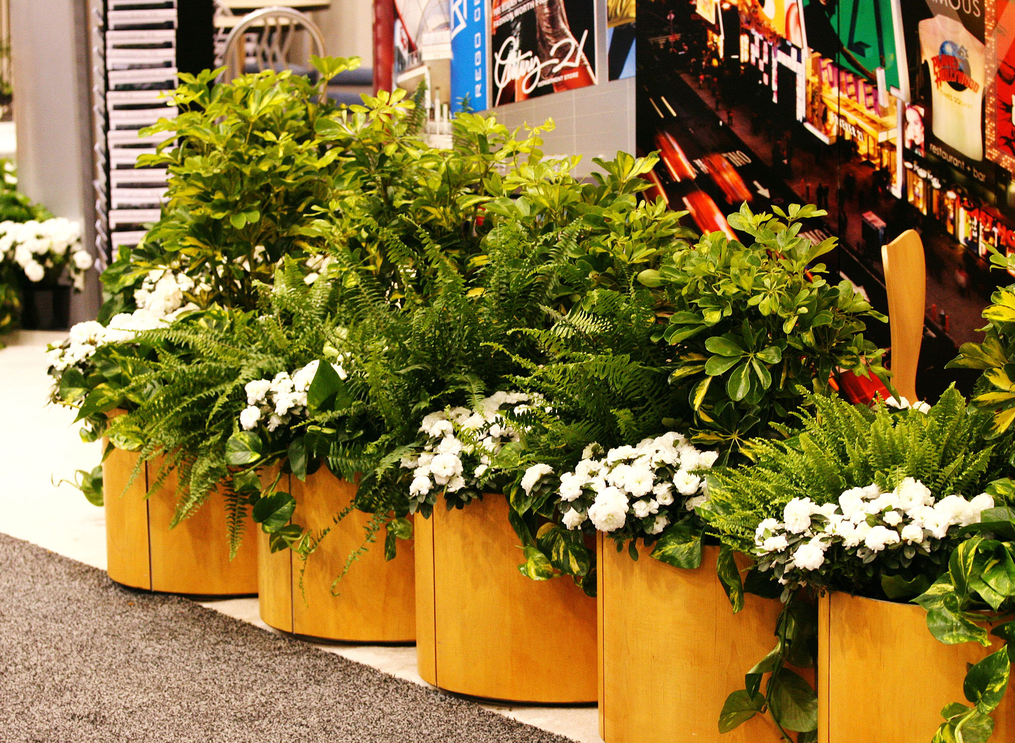 Row of plants rented for a trade show.