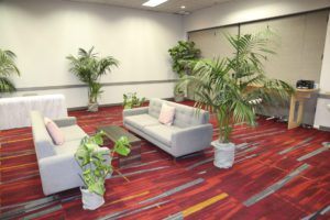 A trade show lounge with live plant rentals.