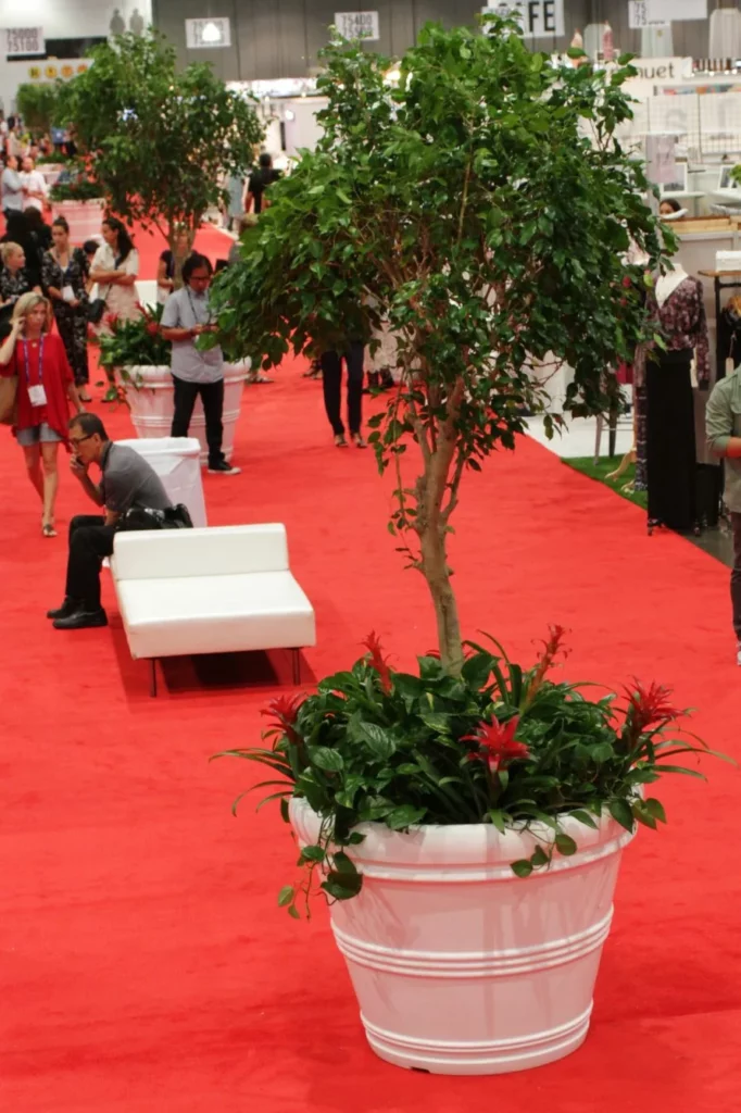 Tall topiary plants rented for a red carpet corporate event in Las Vegas.