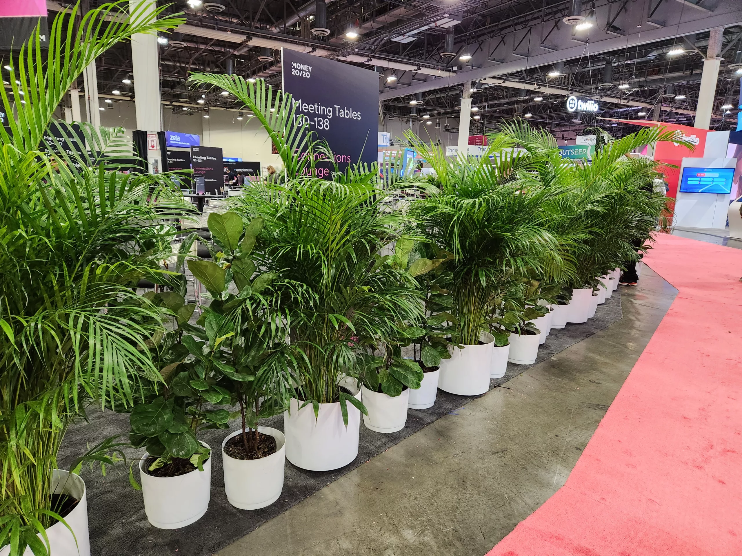 Tall plants as a screening at a trade show booth.
