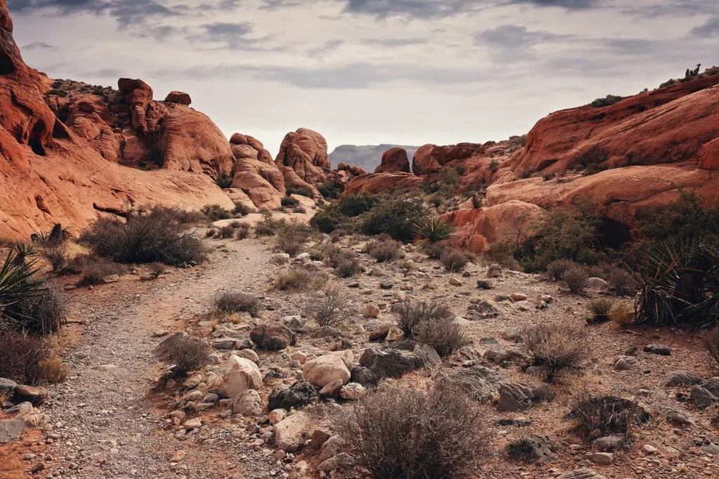 Red Rock canyon in Las Vegas.