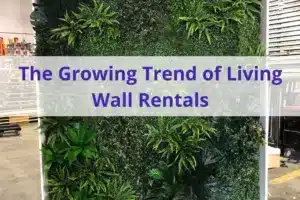 Text ' the growing rend of living wall rentals' with plant wall installation in the background.