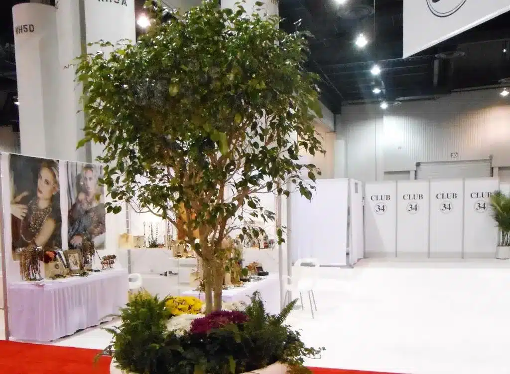 Large citrus tree in a white planter inside an event center.
