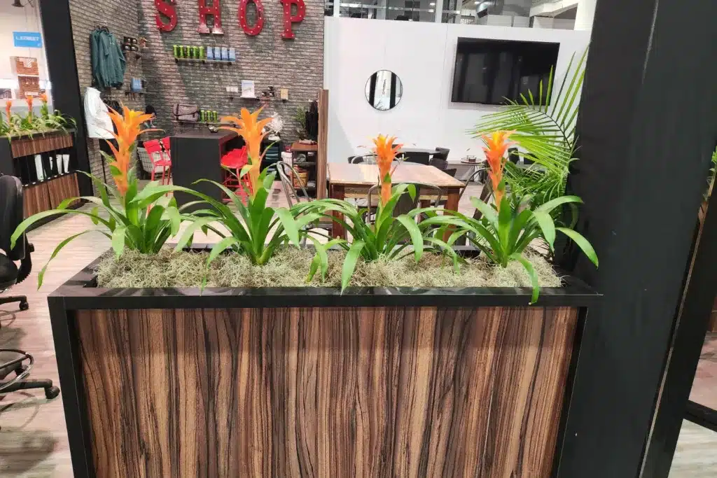 Wood container with four flowering plants creating a short wall in a shop